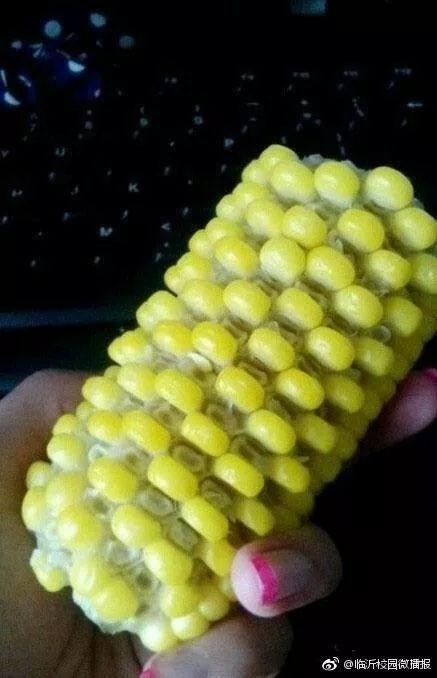 ʵ֤̫һܿµsi
