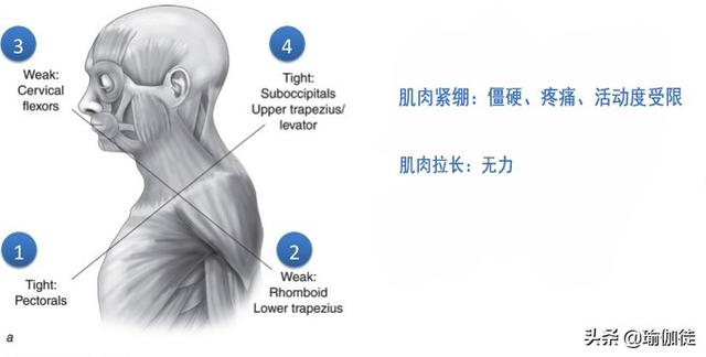 Բ�磿�ձ���û��ϵ�������㡰�ڹ꾱���ķ�����������