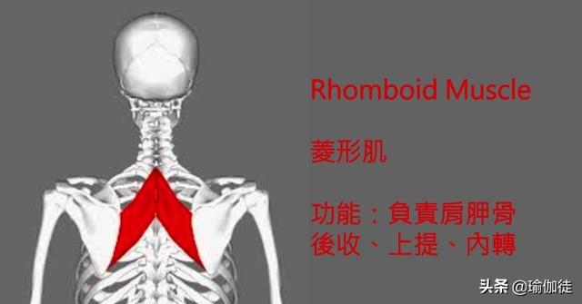 Բ�磿�ձ���û��ϵ�������㡰�ڹ꾱���ķ�����������