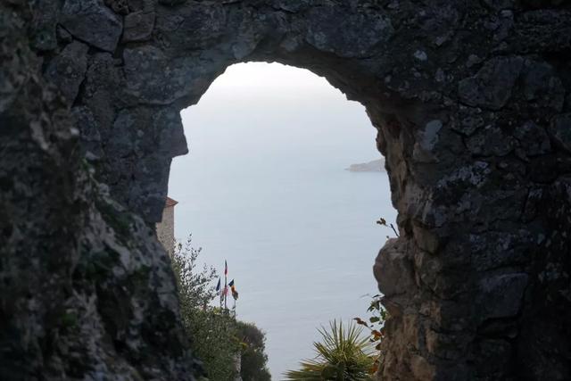 ССǡĦɸ
