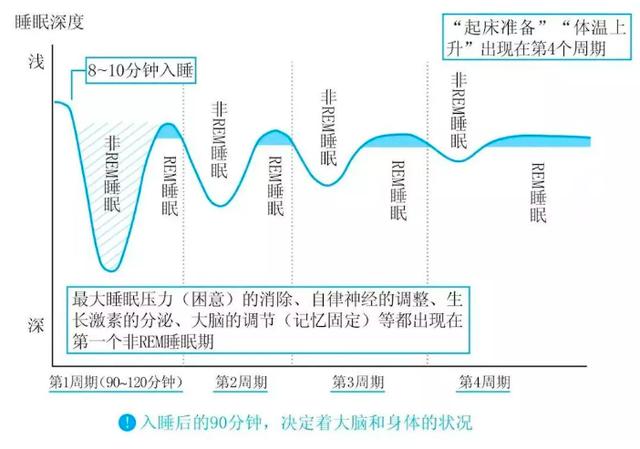 91%�����Ѻ��Ը�ƣ����˹̹�����ڽ��㣬����1.5Сʱ�ƽ�˯����