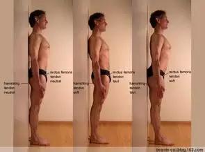 ���������ľ��С�����ǽվ