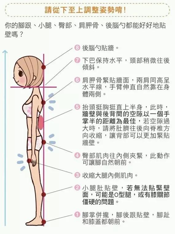 ���������ľ��С�����ǽվ