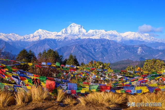 �����ϵĲ����ˣ����׸߿����������ۣ��屶�۸�ȴ�������