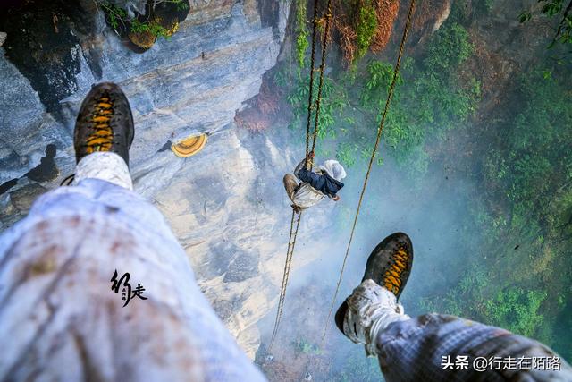 �����ϵĲ����ˣ����׸߿����������ۣ��屶�۸�ȴ�������