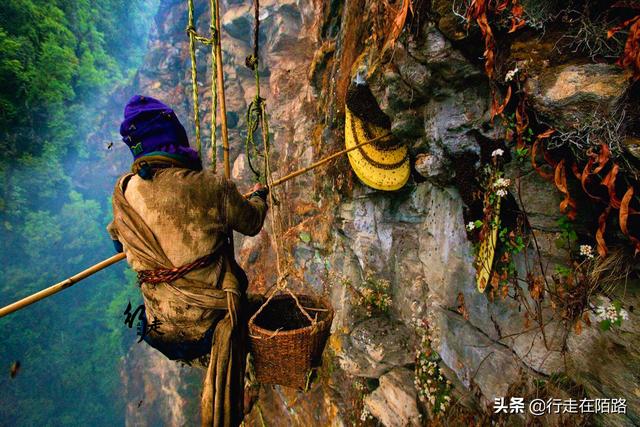 �����ϵĲ����ˣ����׸߿����������ۣ��屶�۸�ȴ�������