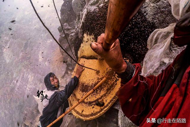 �����ϵĲ����ˣ����׸߿����������ۣ��屶�۸�ȴ�������