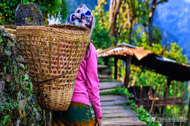 �����ϵĲ����ˣ����׸߿����������ۣ��屶�۸�ȴ�������