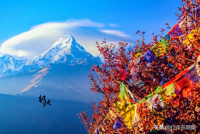 �����ϵĲ����ˣ����׸߿����������ۣ��屶�۸�ȴ�������