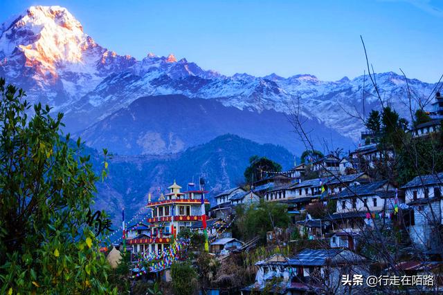 �����ϵĲ����ˣ����׸߿����������ۣ��屶�۸�ȴ�������