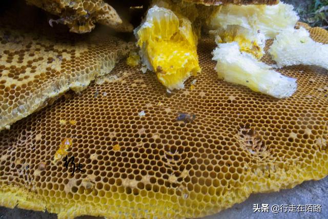 �����ϵĲ����ˣ����׸߿����������ۣ��屶�۸�ȴ�������