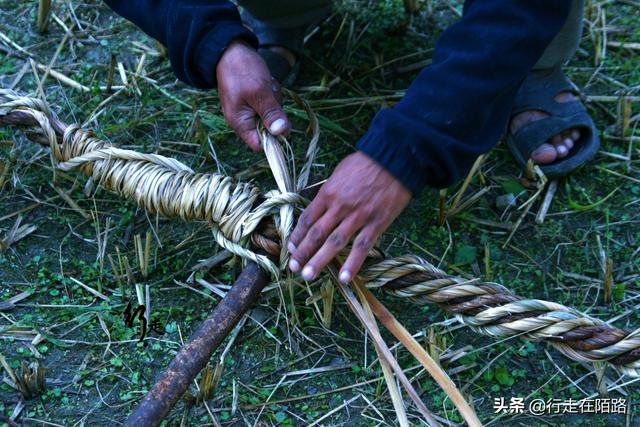 �����ϵĲ����ˣ����׸߿����������ۣ��屶�۸�ȴ�������