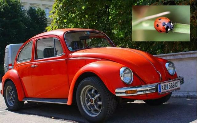 ������ѧ����������ҵ��չ������ʲô��