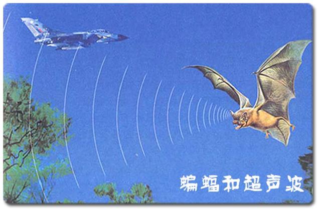 ������ѧ����������ҵ��չ������ʲô��