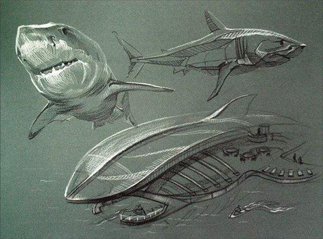 ������ѧ����������ҵ��չ������ʲô��