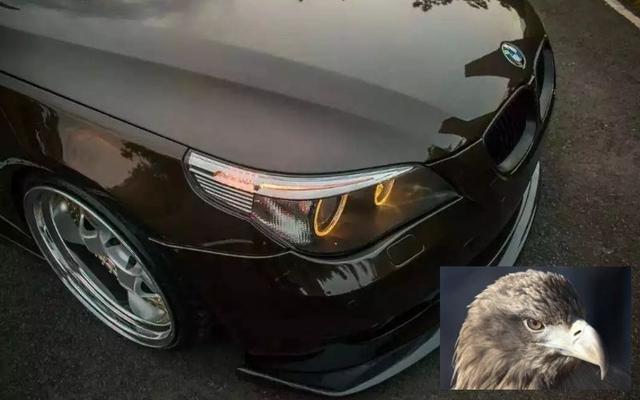 ������ѧ����������ҵ��չ������ʲô��