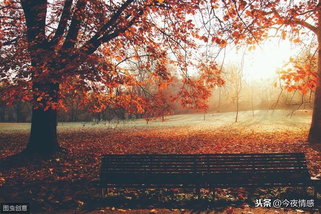 �����ĸ��֣����߱�����ɫ˼ά��