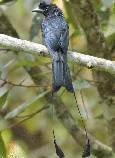 ��ʮ�����ҵ�ͼ�ڣ�������������ĵ�һ����