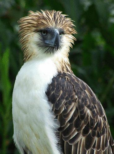 ��ʮ�����ҵ�ͼ�ڣ�������������ĵ�һ����