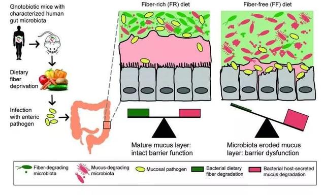 ȫ���˽���ʳ��ά��ĬĬ���ŵľ�Ⱥ�����ػ���