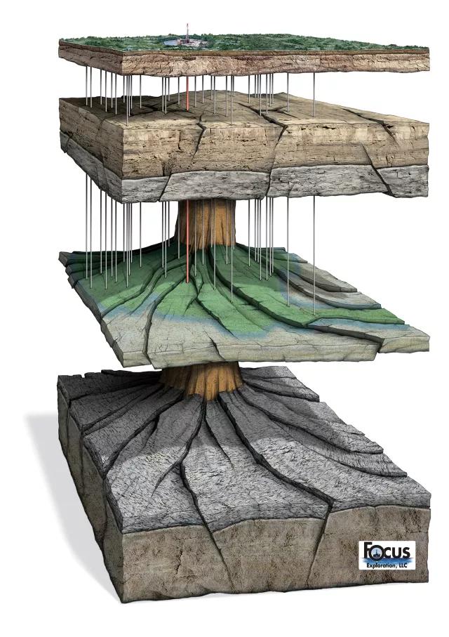 60����ά����ģ�ͣ�һĿ��Ȼ����µ�֪ʶ�����Ѷ�