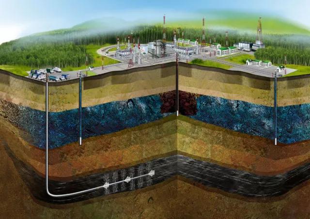 60����ά����ģ�ͣ�һĿ��Ȼ����µ�֪ʶ�����Ѷ�