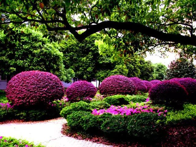 �ɻ��������ֻ���ֲ�����ƴ�ȫ