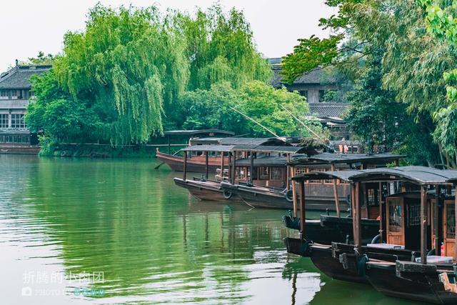 纯干货吃住行玩转乌镇,避免踩雷全攻略