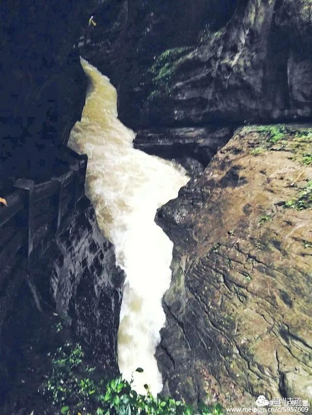 ĺӣľ