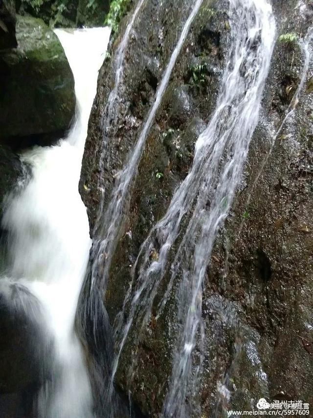 ĺӣľ
