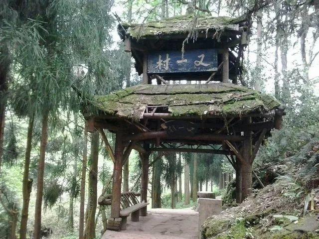 �ʵ����ɽ����ȫ��ǰɽ����ɽ���湥�ԣ�