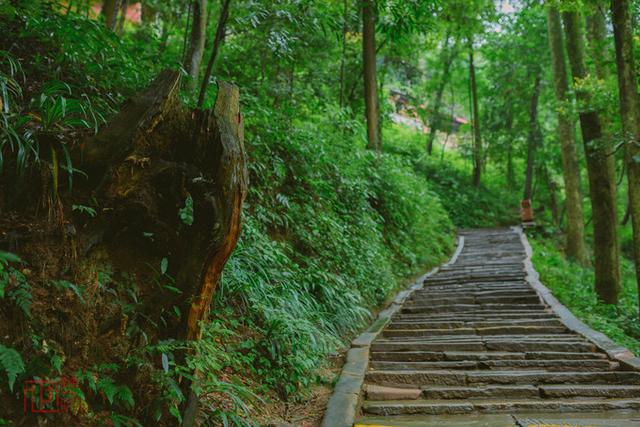 �ʵ����ɽ����ȫ��ǰɽ����ɽ���湥�ԣ�