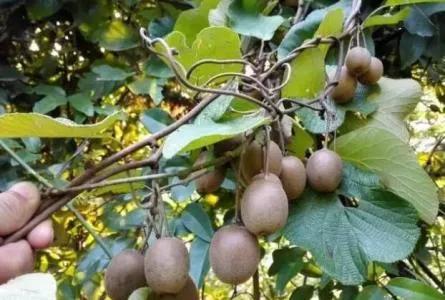 �̵�36��Ұ����ȫ�������ϳ����֣�