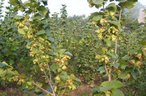 �̵�36��Ұ����ȫ�������ϳ����֣�