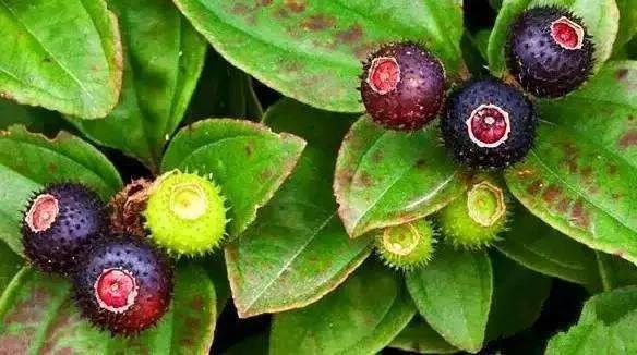 �̵�36��Ұ����ȫ�������ϳ����֣�