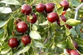 �̵�36��Ұ����ȫ�������ϳ����֣�