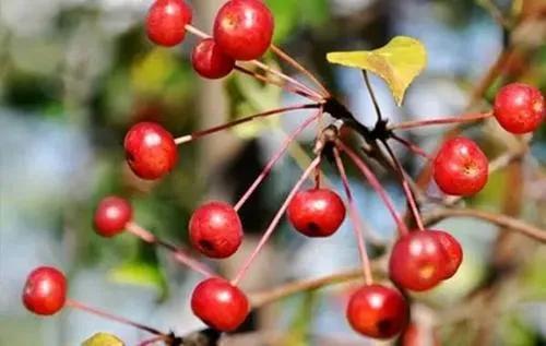 �̵�36��Ұ����ȫ�������ϳ����֣�