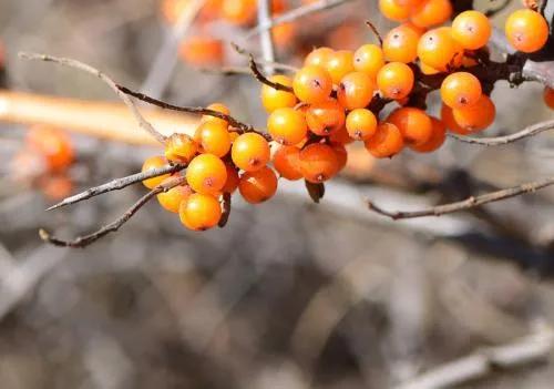 �̵�36��Ұ����ȫ�������ϳ����֣�