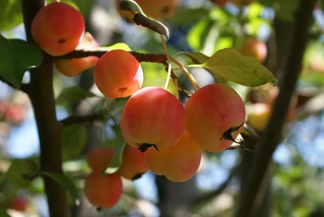 �̵�36��Ұ����ȫ�������ϳ����֣�