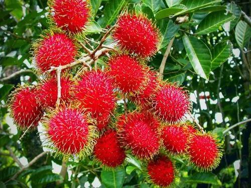 �̵�36��Ұ����ȫ�������ϳ����֣�