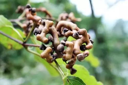 �̵�36��Ұ����ȫ�������ϳ����֣�