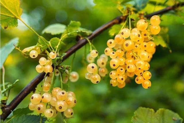 �̵�36��Ұ����ȫ�������ϳ����֣�