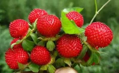 �̵�36��Ұ����ȫ�������ϳ����֣�