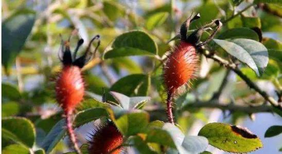 �̵�36��Ұ����ȫ�������ϳ����֣�