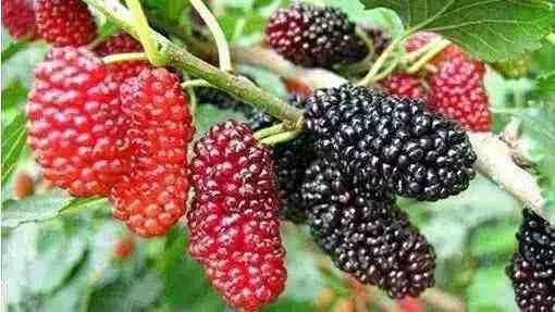 �̵�36��Ұ����ȫ�������ϳ����֣�