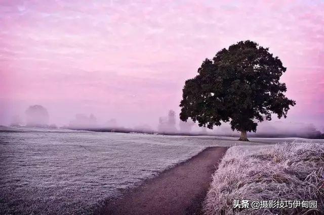 ��ȳ��ģ�����������Ӱ���ɣ���20�ֹ�ͼ�����ɴ���