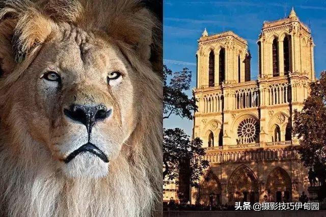 ��ȳ��ģ�����������Ӱ���ɣ���20�ֹ�ͼ�����ɴ���