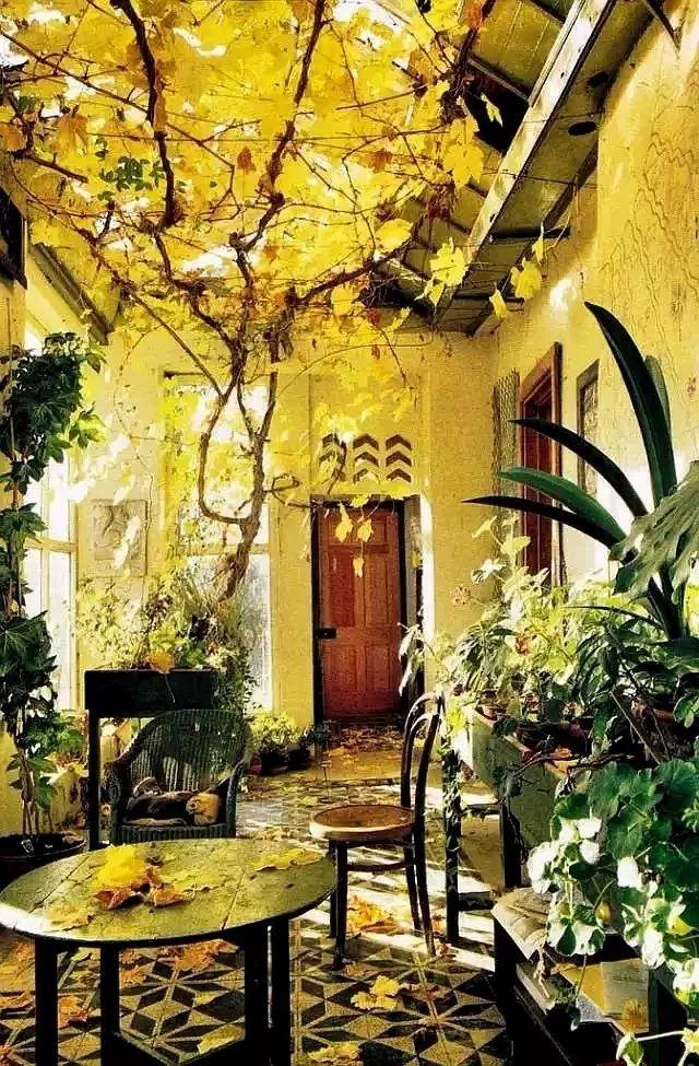 100��Ժ�ӣ�̫Ư���ˣ�����һ���ʺ��㣡