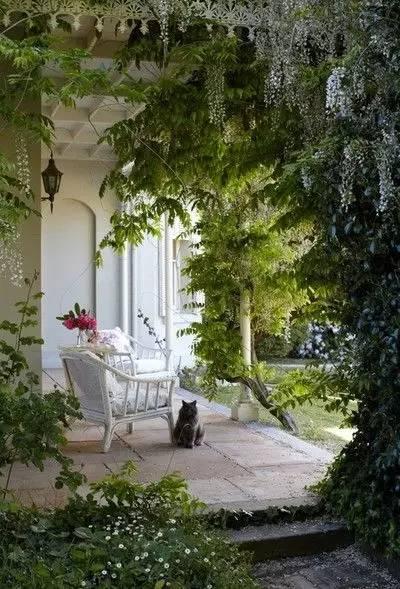 100��Ժ�ӣ�̫Ư���ˣ�����һ���ʺ��㣡