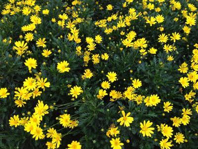 ������һ��Ҫȥ�����塪�����ݵı�����